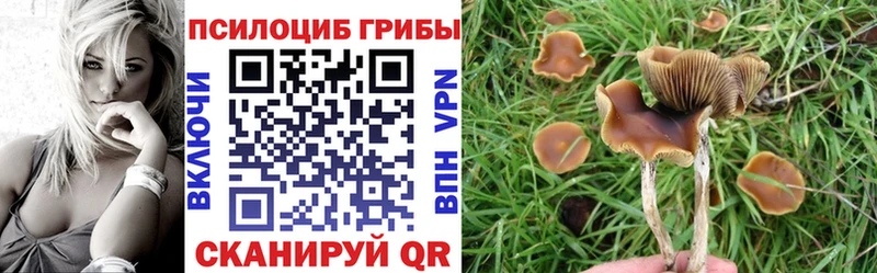 Галлюциногенные грибы мухоморы  Купить где  Урай 